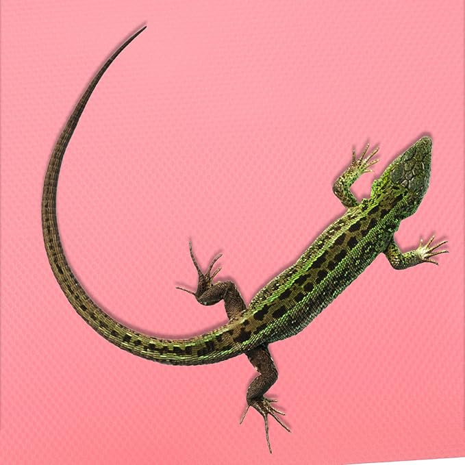 POPETPOP Reptile Carpet Pad for Terrarium Soft Substrate Mat for Bearded Dragons Snakes Lizards and Tortoises Easy to Clean Comfortable Bedding for Reptile Habitat