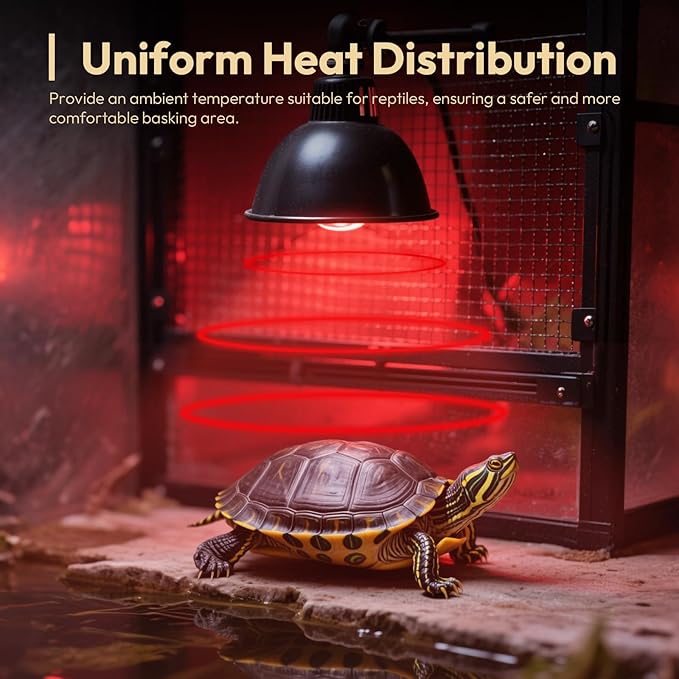 ALAMPEVER 2 Pack Red Heat Lamp Bulb, 75 Watt Infrared Light Bulb for Bearded Dragon, E26 Base, Durable Reptile Heat Bulb for Amphibian, Lizard, Tortoise, Gecko