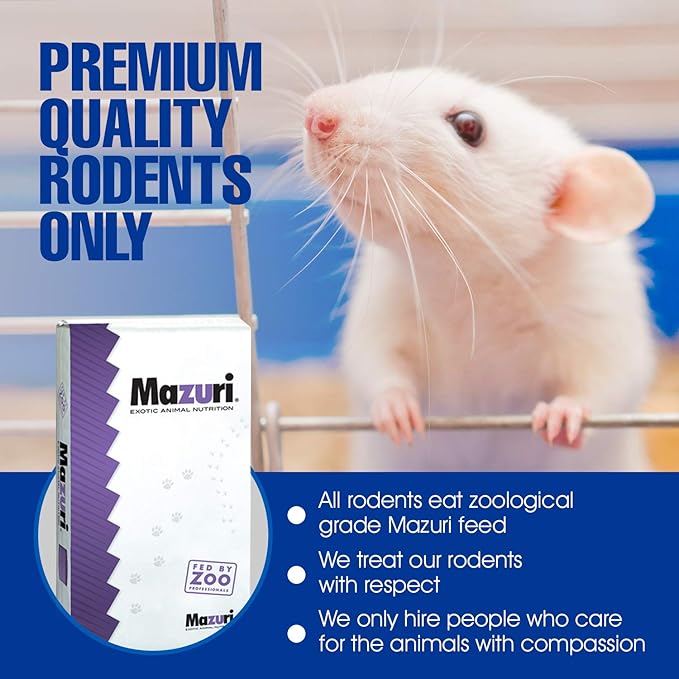 MiceDirect Frozen Rat Combo Pack Rat Smalls & Rat Mediums Feeders Snake Food for Reptiles, 40 Ounce (50 Count)