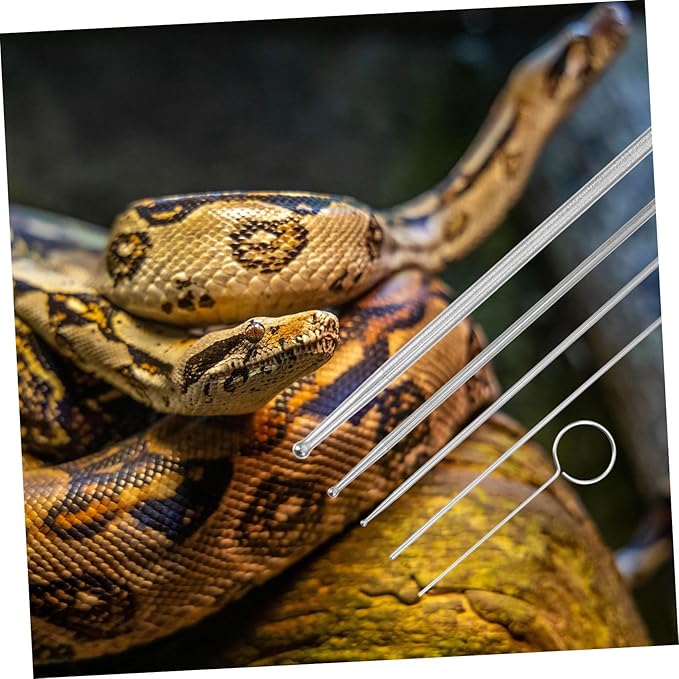 Homoyoyo Snake Gender Detector Probe Metal Snake Gender Tool Easy to Use Reptile Kit