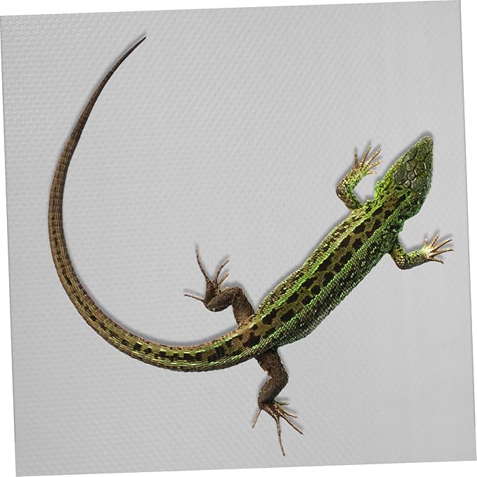 YARNOW Reptile Carpet Mat for Bearded Dragon and Other Reptiles Terrarium Bedding Liner Lightweight and Easy to Clean Gray Substrate for Lizard Gecko Snake Tortoise