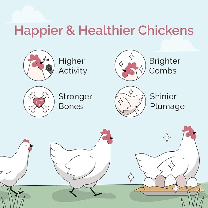 Mile Four Organic Chicken Feed (23 lbs) Grower Mash, Non-GMO, USA Grown, 18% Protein, Corn-Free, Soy-Free, Non-Medicated Feed for Chickens