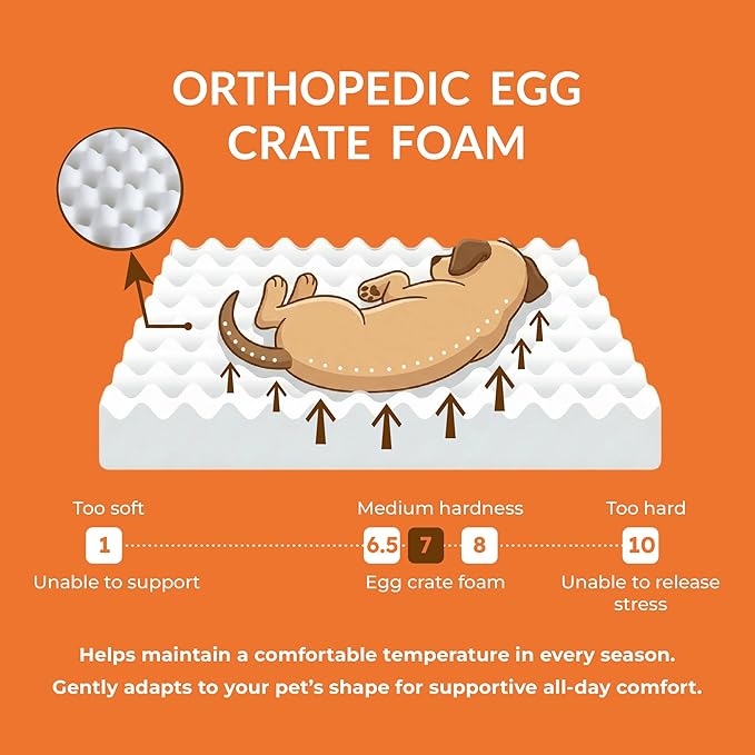 Muihood Wood Elevated Dog Bed Frame and Egg Crate Foam Mattress, Luxurious Suitable for Pets Up to 95 lbs, White, XL