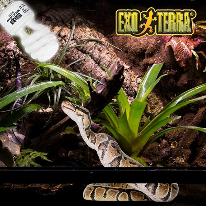 Exo Terra Repti Glo 5.0 Tropical Terrarium Lamp, Compact Fluorescent Reptile Bulb, 13 Watts, PT2186A1, whites & tans