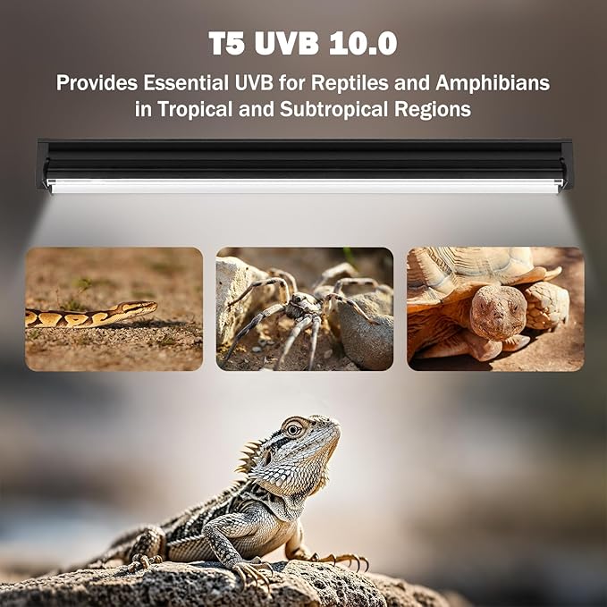 T5 10.0 UVB Reptile Light Fixture, 39W 34" T5 UVA/UVB Fluorescent Tube Bulb for Bearded Dragon, Tortoise, Leopard Gecko, Desert Lizards