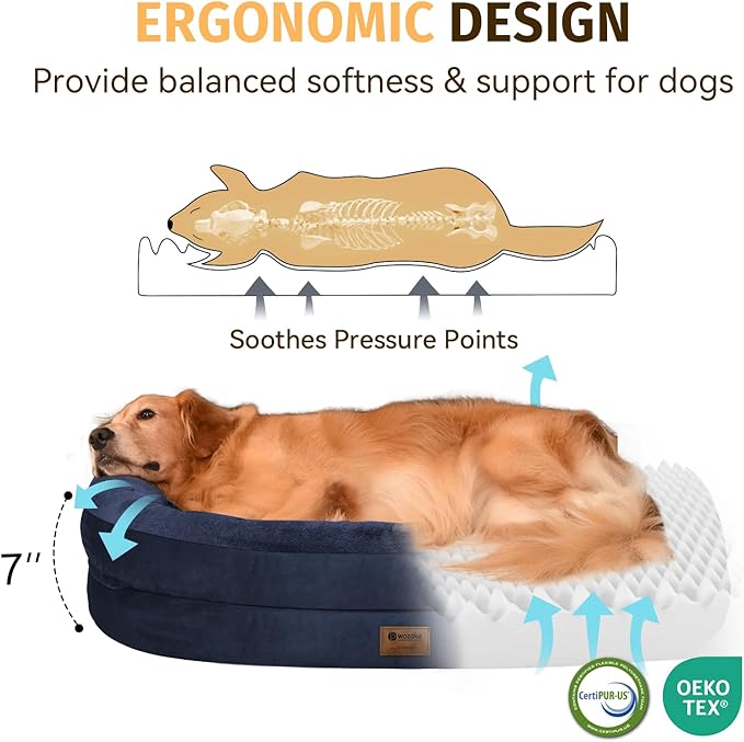 Orthopedic Dog Bed for Medium Dogs, Waterproof Dog Bed with Removable Bolsters, Egg Crate Foam Pet Couch for Medium Size Dog with Machine Washable Cover & Non-Slip Bottom, Navy