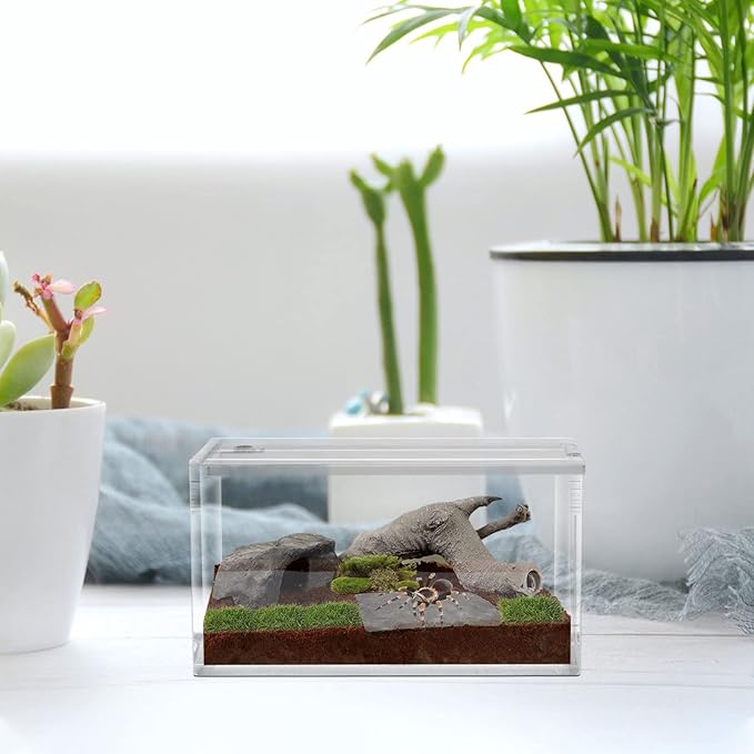 POPETPOP Reptile Breeding Box Reptile Feeding Container Aquarium Breeding Tank Transparent Feeding Box Terrarium Habitat for Snake Turtle Lizards