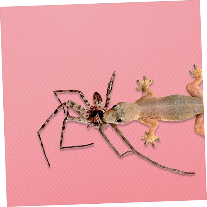 Yardwe Bearded Dragon Tank Background Reptile Carpet Bedding Snake Cage Liner Non-Slip Eva Mat