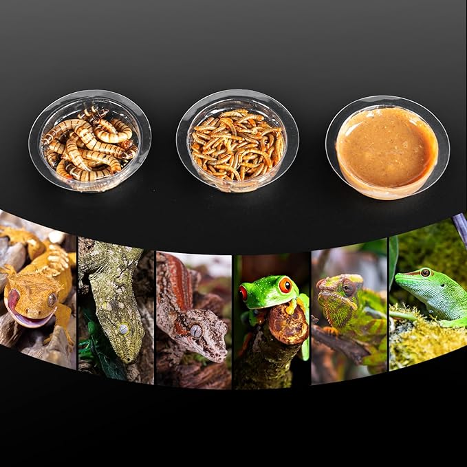 REPTIZOO 30PCS Feeding Cups for Reptile Magnetic Feeder Ledge, Replacement Cups for REPTIZOO Food Water Feeder Dish Gecko Feeding Ledge
