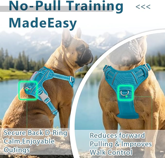 BARKBAY Dog Harness No Pull Oxford with ID Tag Pocket - Heavy Duty, Reflective, Easy Control for Large Dogs(Aqua Oxford,XL)