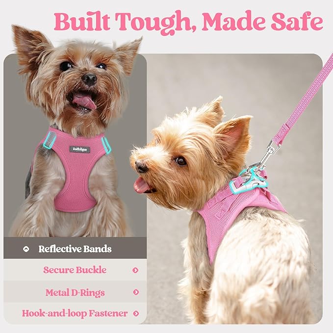 rabbitgoo Dog Harness Small Sized and Leash Set, Step in Soft Light Puppy Vest, Breathable Mesh Pet Harness, Reflective for Safe Easy Walking, Light Pink M
