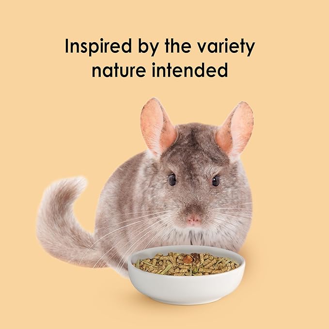 Kaytee Food From the Wild Chinchilla, 3 Pounds