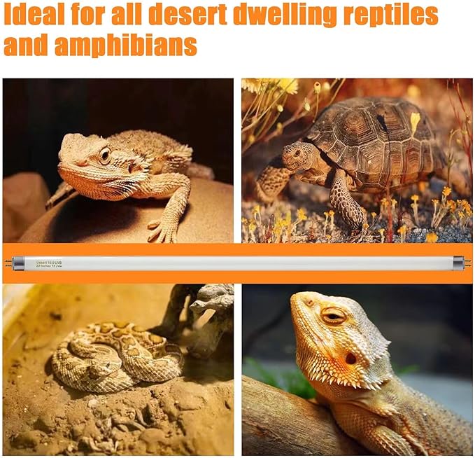 Celiwace T5 10.0 UVB Reptile Light Bulb 22 inch, Desert Reptile UVB Bulb 24W, for Lizards, Bearded Dragons, Chameleons