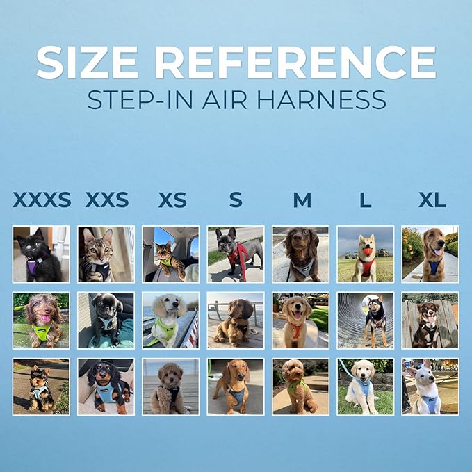 Best Pet Supplies Voyager Step-in Air Harness - All Weather Mesh, Reflective, No Pull Harness for Dogs, Cats - Secure with Hook & Loop Fastener, Buckle, Double D-Rings - Lime Green, L