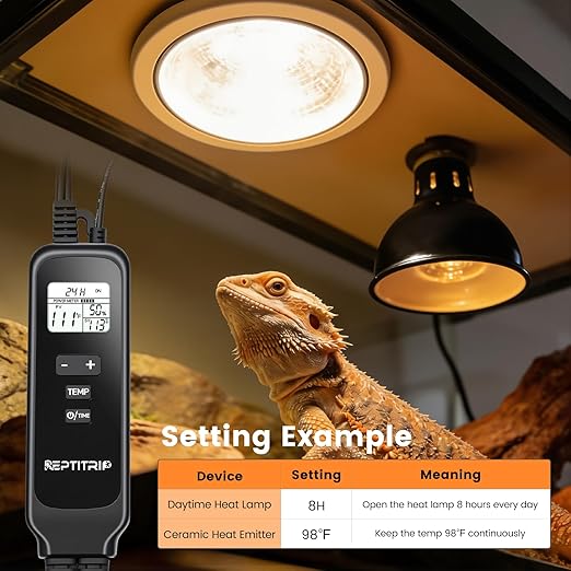 2 in 1 Reptile Dimming Thermostat with 2 Socket for Timer & Heating Control, Thermostat for Reptile Heat Lamp Heat Pad, PID Temperature Controller, Memory Function (Model: PT02T)