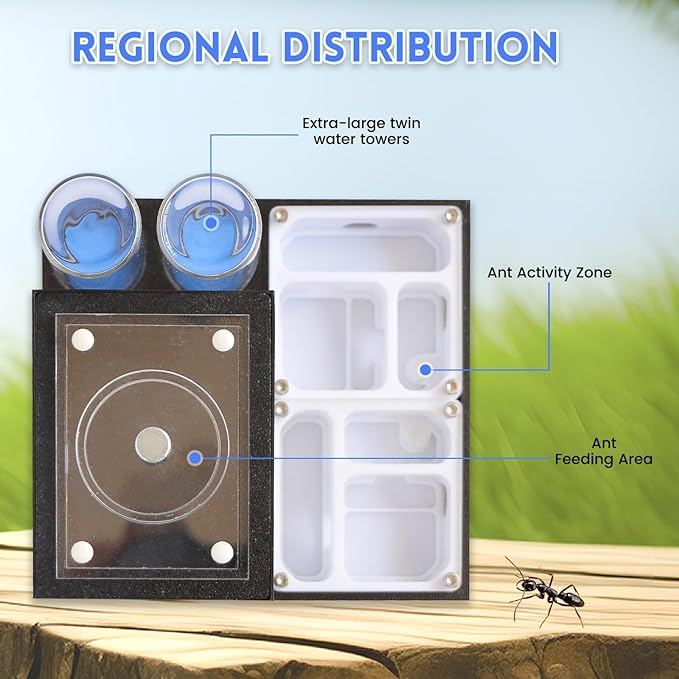 Ant Farm Nest - Educational Habitat - Black and White Acrylic Design with Built-in Water Tower and Clear Observation Area (M-2)
