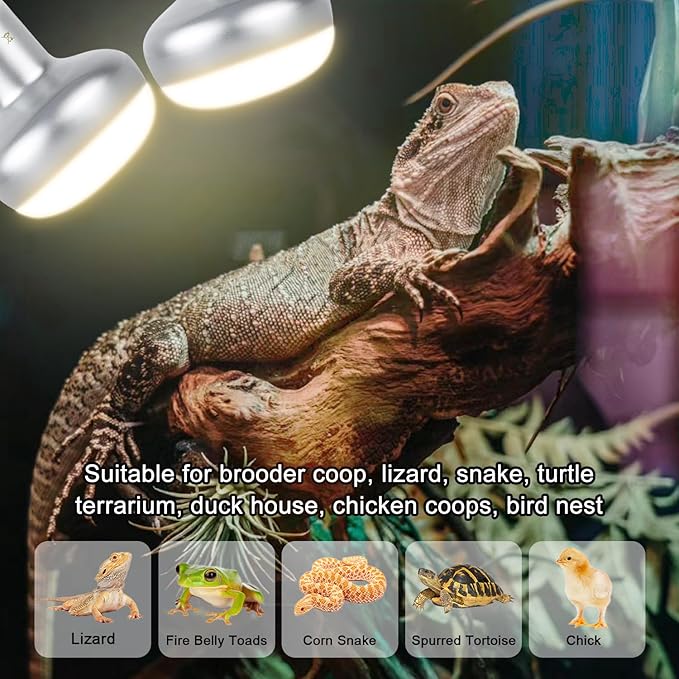 Reptile Heat Lamp 100W, Intense UVA Basking Light Bulbs, Flat-Base Heat Emitter, Heat Lamp Bulb for Reptile Chick 2 Pack