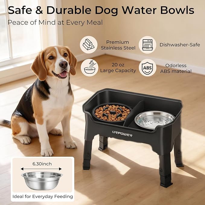 URPOWER Mess Proof Elevated Dog Bowls, High Wall Splash Guard Design, 4 Height Adjustable Raised Bowl Stand, 2 Stainless Steel Bowls, Non-Slip Food Water Set for Small, Medium Dogs