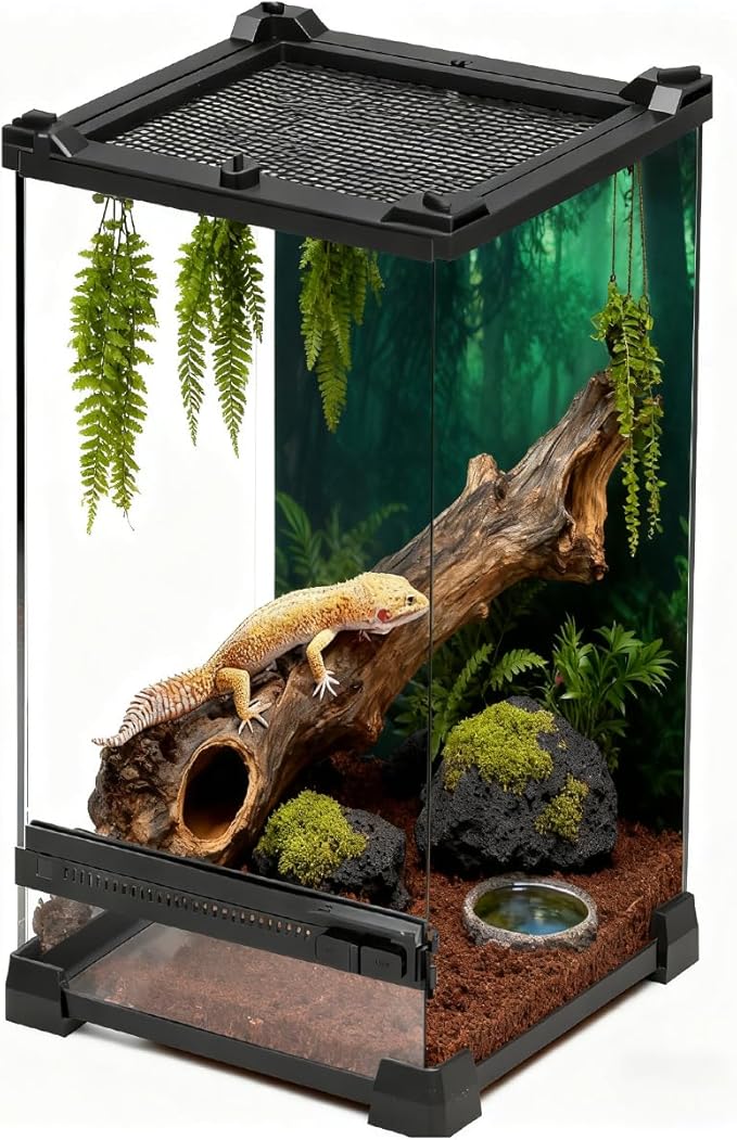 Reptile Tall Glass Terrarium Rainforest Habitat Single Door with Screen Ventilation,Small Reptile Terrarium for Spiders, Tarantulas, Snail, Mantis, Lizard (8 * 8 * 12 inch)