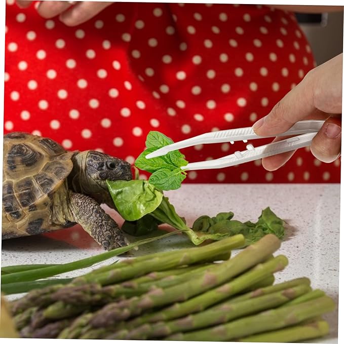 2Pcs Reptile Feeding Tweezers Pet Feeding Clips for Lizards Turtles Frogs Tool for Feeding Terrariums and Aquariums