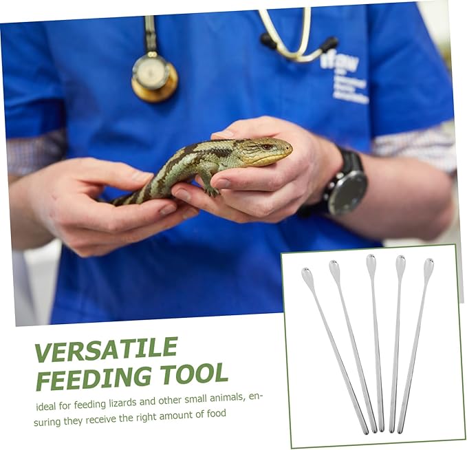 KOMBIUDA 5pcs Lightweight Reptile Food Spoons for Lizard Small Animals Portable Feeding Tool for Reptile Tanks Ergonomic Design for Convenient Handling and Balanced Nutrition