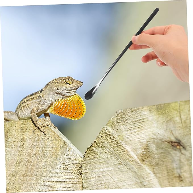 HANABASS 2pcs Stainless Steel Reptile Feeding Spoon Small Pet Food Scoop for Lizards Reptiles Easy Clean Portable
