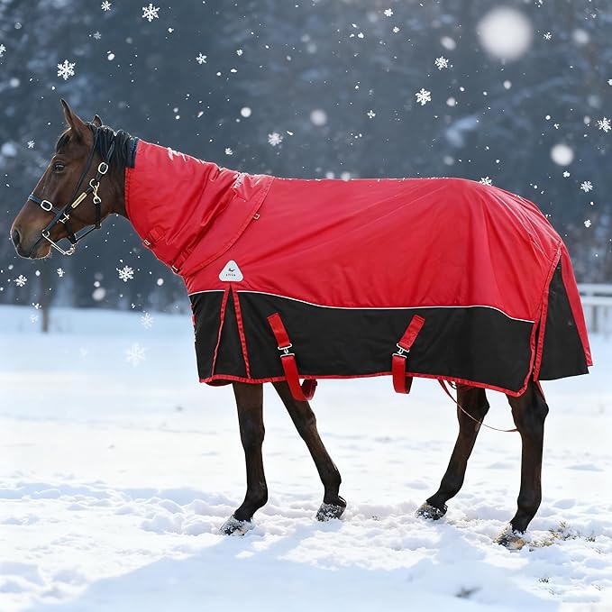 1680D All-Weather Horse Turnout Blanket with Detachable Neck Cover - 280g Medium Weight Winter Horse Blanket, Water-Resistant & Breathable for Cold Weather (72in/135cm)