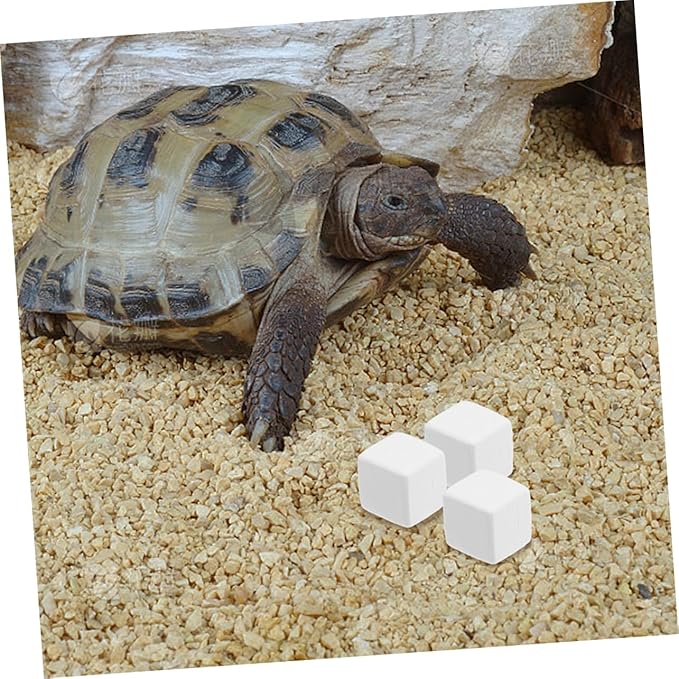 Totority 12pcs Natural for Reptiles and Teeth Grinding Aid for Crabs Lizards and Other Pets for Reptile Enclosures and Habitats