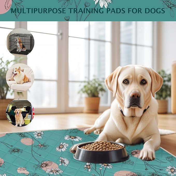 IEUUMLER Washable Pee Pads for Dogs, 2 Pack Non-Slip & Waterproof Pack Whelping Pad, Reusable Washable Puppy Potty Training Pad with Fast Absorbent for Playpen EU007 (Teal Daisy, 24"X48"-2pcs)