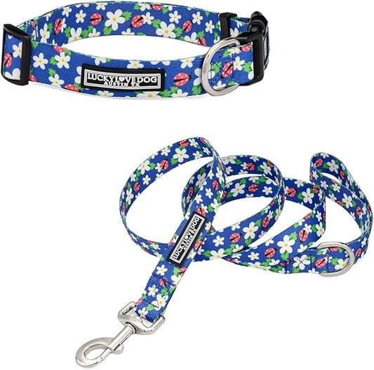 Lucky Love Dog - Easy Click Buckle Dog Collar with Leash Set Combo, Durable & Comfortable for Male & Female Dogs, Pet Collar for Medium Dogs, Secure Fit - Lilian Combo, Medium