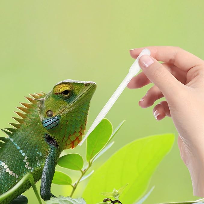 POPETPOP 6pcs Reptile Feeding Tweezers Plastic Tool for Lizard Spider Scorpion and Other Reptiles for Feeding