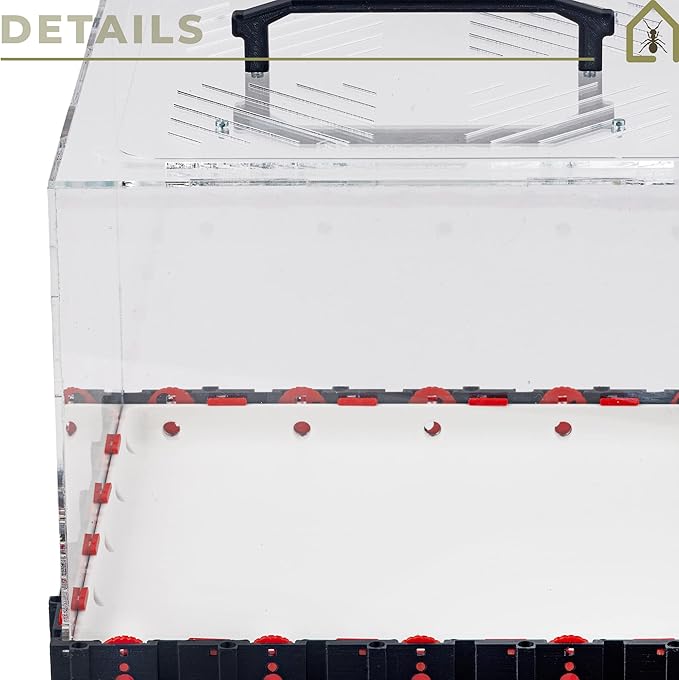 Anthouse.ES - 3D Modular Anthill Foraging Box - QBIK Giga Foraging Box Model - 30.78x30.78x16.70 cm - Ant Colonies - Terrarium