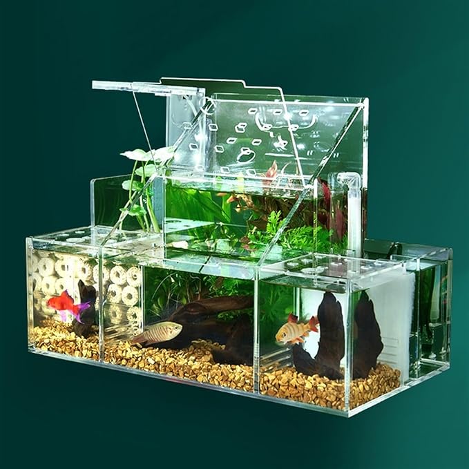 Ecological Fish Tank Desktop Breeding Hatching Special Fish Tank Isolation Box Circulating Water Filtration Pump Home Office Fish Tank Decoration