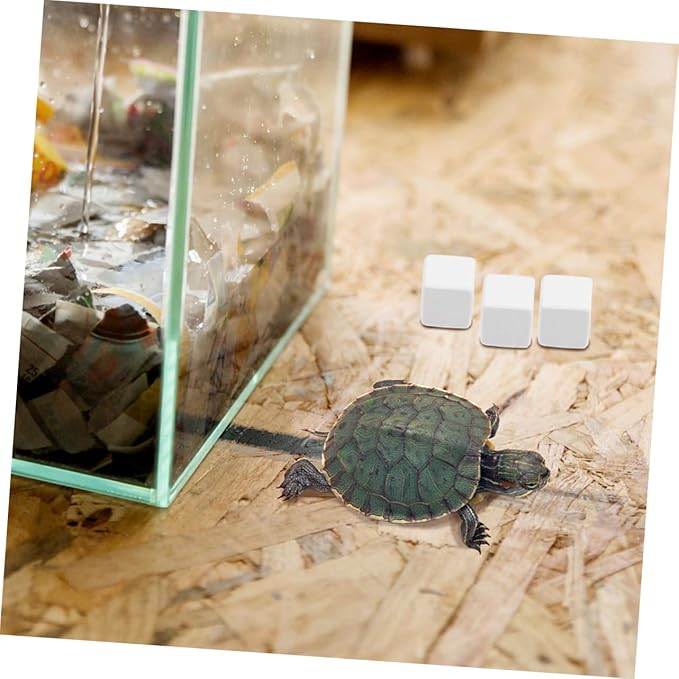POPETPOP 12pcs Natural Reptile Mineral Block Enhance Pet Health Safe for Reptiles Crabs