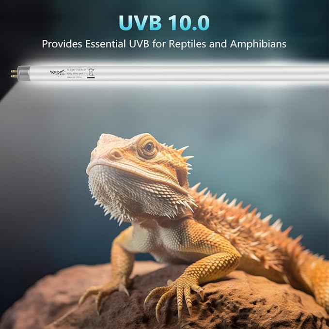 3-Pack UVB Reptile Light 10.0 Bulb 24W T5 Fluorescent Desert Lamp UVA for Bearded Dragon Tortoise Reptile & Amphibian