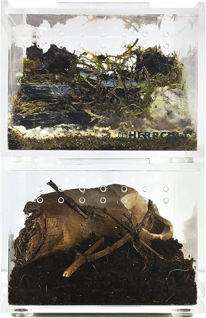 Herpcult Magnetic Acrylic Mini-Flat Enclosure 3 x 4 x 2.5