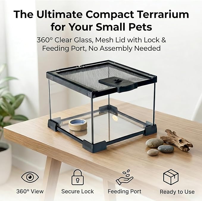Small Glass Reptile Enclosure,8x8x6 Tarantula Enclosure with Lockable Sliding Screen Top - Full View Insects Breeding Box Small Amphibians Cage for Leopard Gecko, Frog, Hermit Crab, Isopods