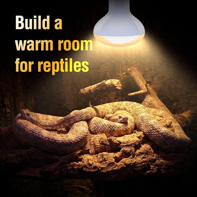 Leoterra Reptile Heat Lamp 50W Basking Spot Bulb (2 Pack) - UVA Daylight Heating for Bearded Dragon, Leopard Gecko, Turtle, Snake - E26 Terrarium Light 10-20 Gallon Winter Essential 2000+ Hours