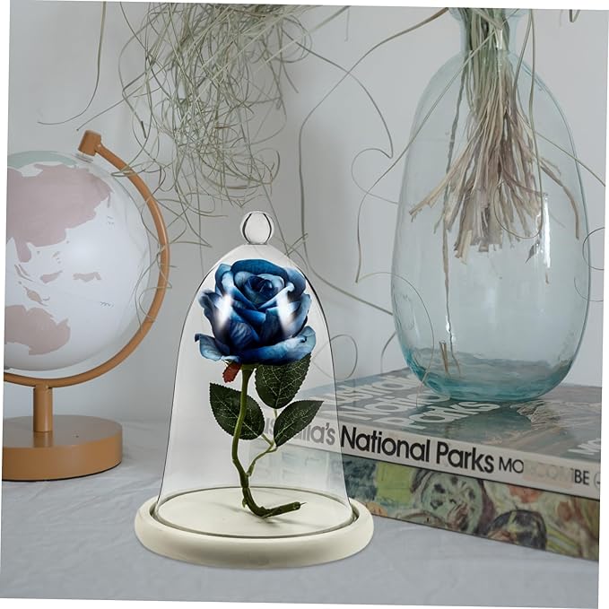 PRETYZOOM Preserved Flower Glass Cover Sealed Terrarium Small Dome Decor Car Interior Adornment