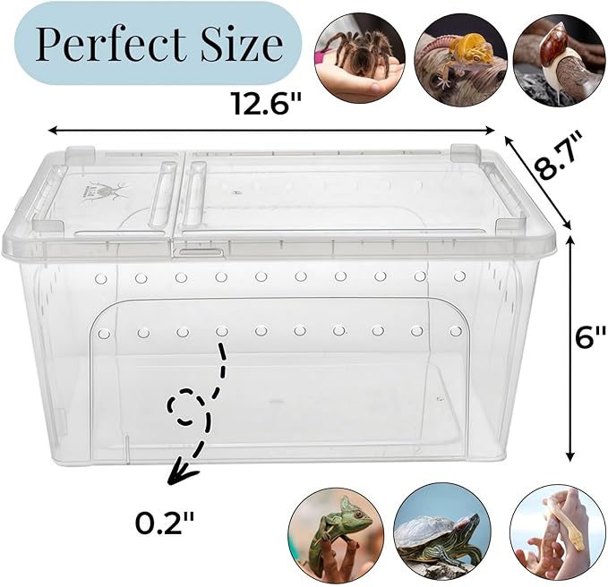 Tlence 2 Pack Critter Keeper, 12.6"x8.7"x6" Clear Plastic Enclosure Terrarium, Portable Transport Container with Feeding Bowl, Small Hatching Container with Ventilated Lid for Snake, Lizard, Gecko