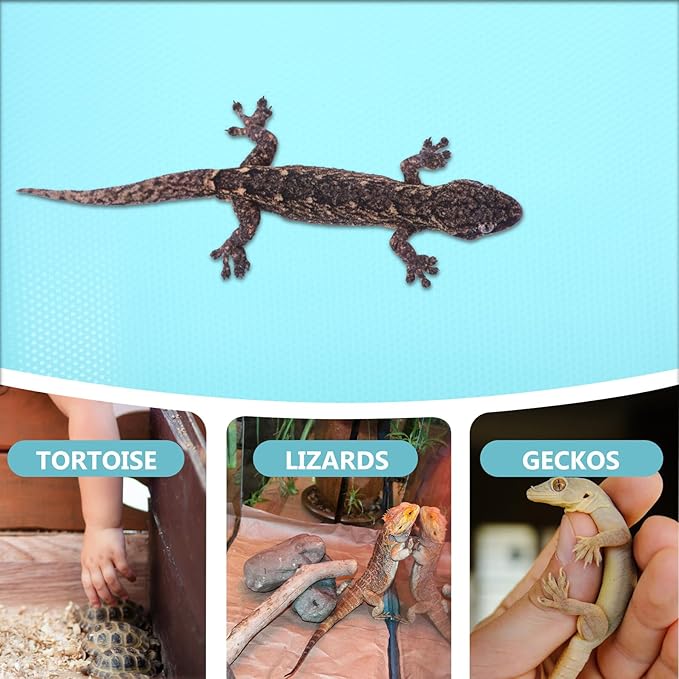 Reptile Carpet Mat EVA Non-Slip Terrarium Liner for Leopard Gecko Bearded Dragon Snake Lizard Tortoise Tank Bedding Easy-Clean Substrate for Reptile Supplies