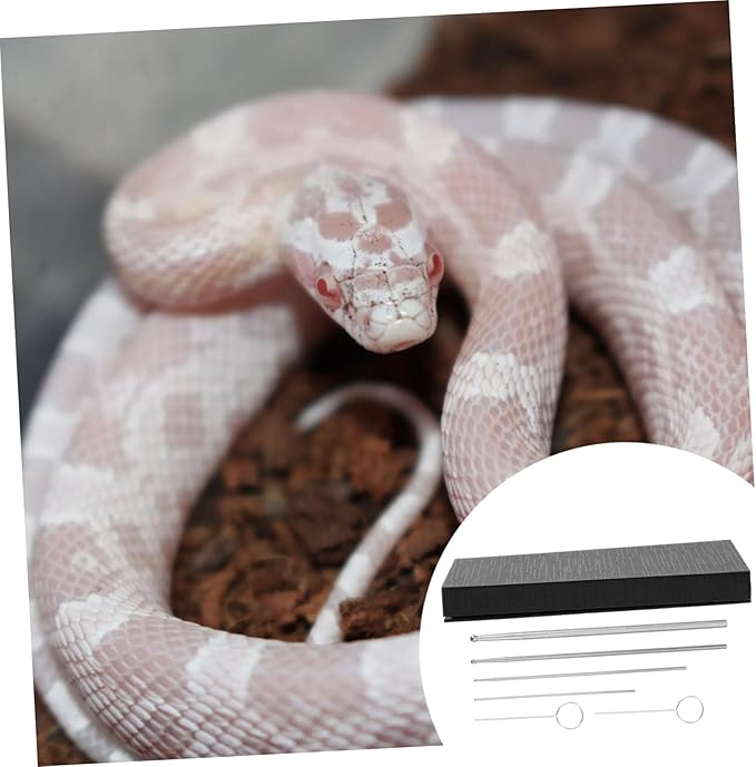 BESPORTBLE 6pcs Snake Gender Probe Reptile Supplies Snake Sexing Kit Probe Tip for Ball