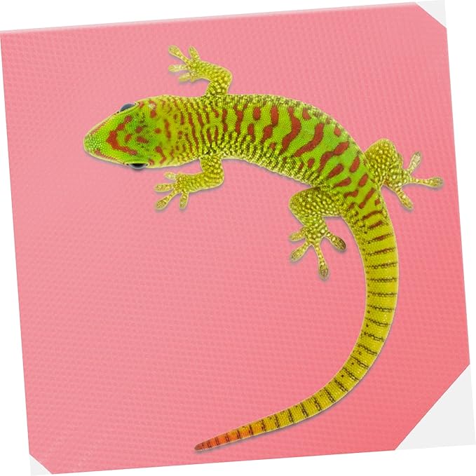Levemolo Reptile Substrate Bedding for Terrarium Reptile Carpet for Bearded Dragon Snake Lizard Leopard Gecko Non-Slip Mat