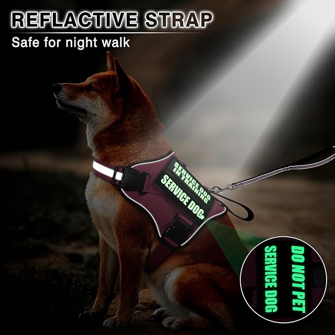 Service Dog Vest Harness and Leash Set+10 Patches,No Pull&Easy Walk Reflective Dog Harness with Soft Padded Handle for Training/Everyday,Fit Small/Medium/Large/Extra-Large Dogs(Pink S)