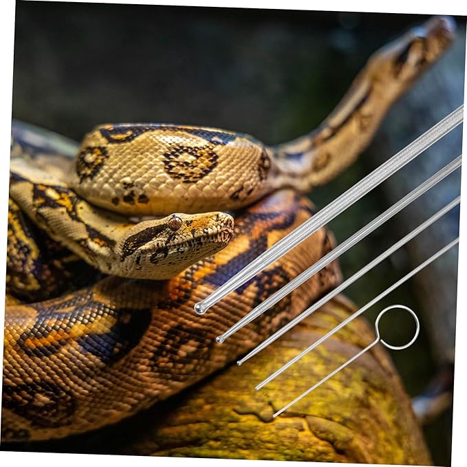 SUPVOX 6pcs Reptile Supplies Snake Snake Probe Gender Probe Ergonomic Handle Toy