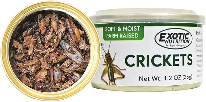 Canned Crickets 1.2 (6 Pack) - Healthy High Protein Insect Treat - Hedgehogs, Sugar Gliders, Reptiles, Wild Birds, Chickens, Lizards, Bearded Dragons, Skunks, Opossums, Fish, Amphibians, Turtles