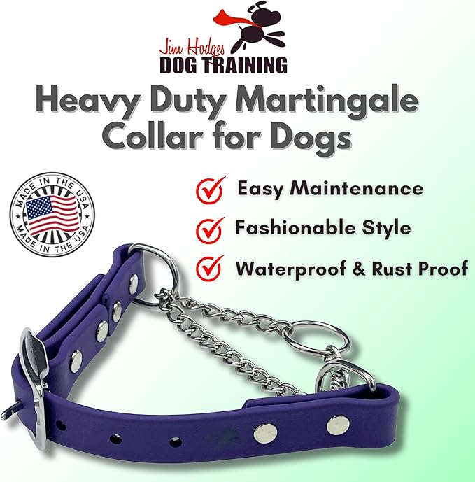 Martingale Collar for Dogs, Biothane, Stainless Steel Hardware, No Pull, Made in The USA, Professional Grade, Extra Large, Purple