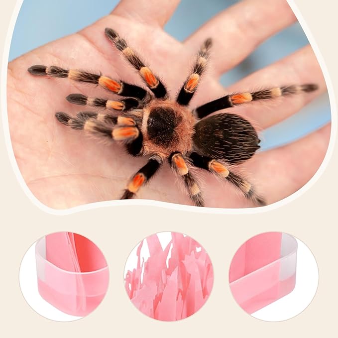 for Reptiles, for Artificial Plants, Humidification System for Amphibians, Pink