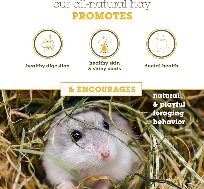 Bulk Fresh Alfalfa Hay 80oz by Bunny Honey - USDA Organic Hay for Small Select Pets, Guinea Pigs, Rabbits, Hamsters - Best Cut & Delivered Fresh - Promotes Healthy Digestive Function - 5 Pound