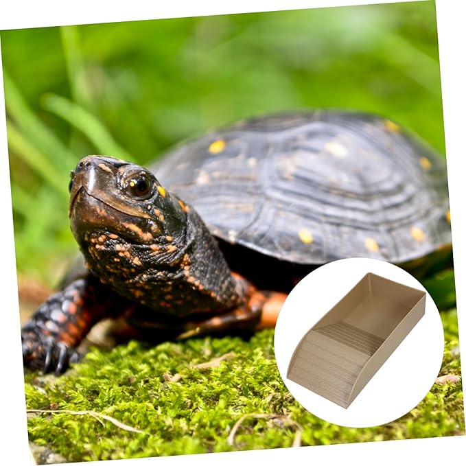 Tortoise Bathing Pool with Ramp Comfortable Soaking Dish for Tortoise Feeding Relaxation Versatile Indoor Outdoor Accessory for Healthy Diet Cleanliness